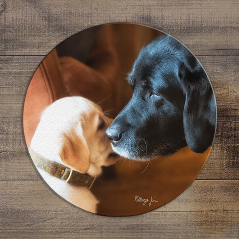 A Little Word In Your Ear - Circular Glass Worktop Saver